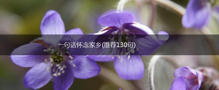 一句话怀念家乡(推荐130句),第1张