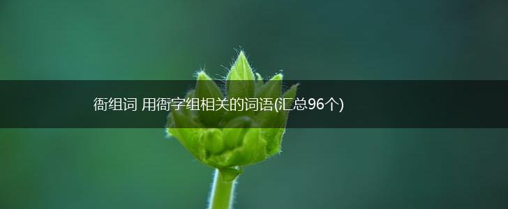 衙组词 用衙字组相关的词语(汇总96个),第1张