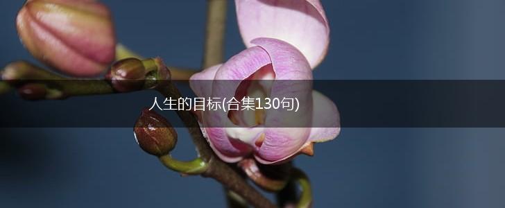 人生的目标(合集130句),第1张