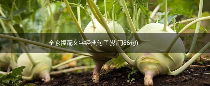 全家福配文字经典句子(热门86句),第1张