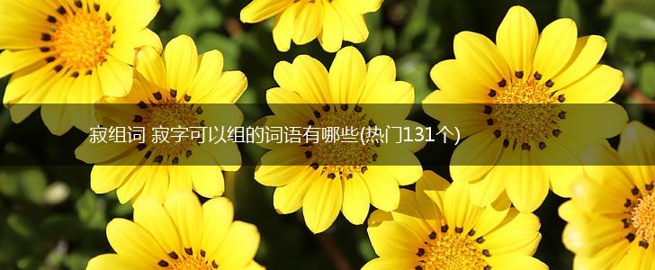 寂组词 寂字可以组的词语有哪些(热门131个),第1张