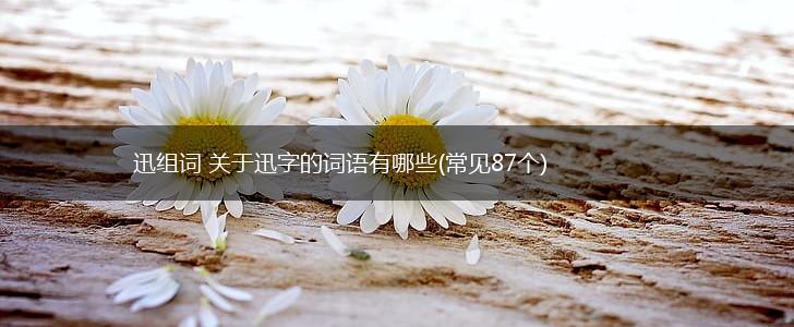 迅组词 关于迅字的词语有哪些(常见87个),第1张