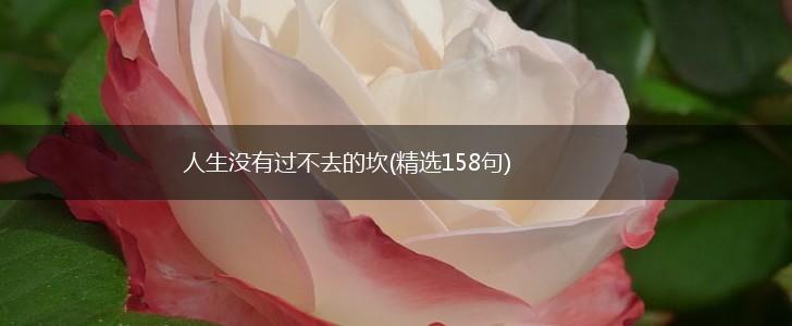 人生没有过不去的坎(精选158句),第1张