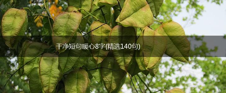 干净短句暖心8字(精选140句),第1张