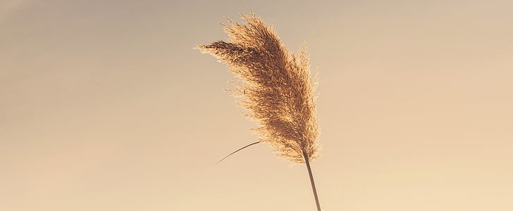 形容夏天的句子(优选115句),第2张