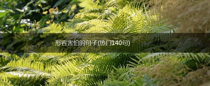 形容害怕的句子(热门140句),第1张