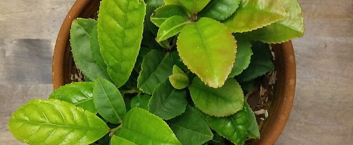 分手与挽留(汇总161句),第2张
