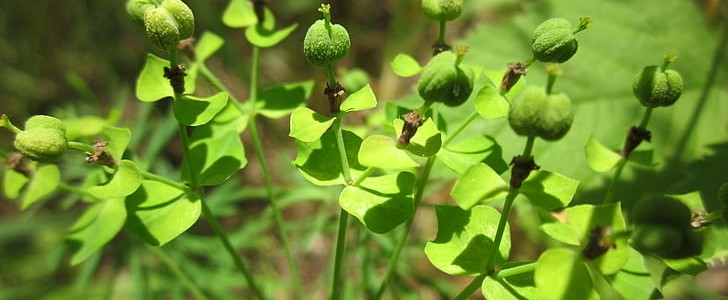其实我没有那么坚强(合集67句),第3张