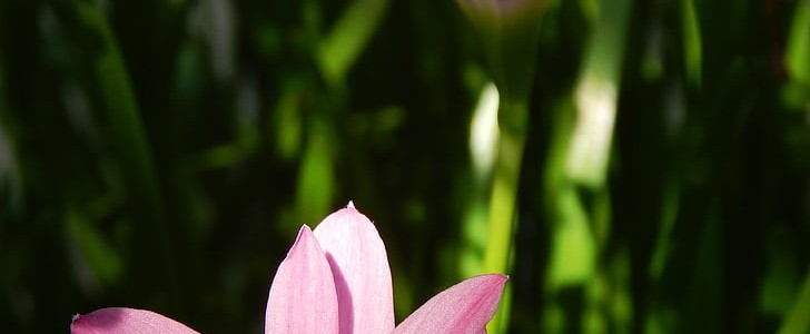 健康成长的句子(实用120句),第3张