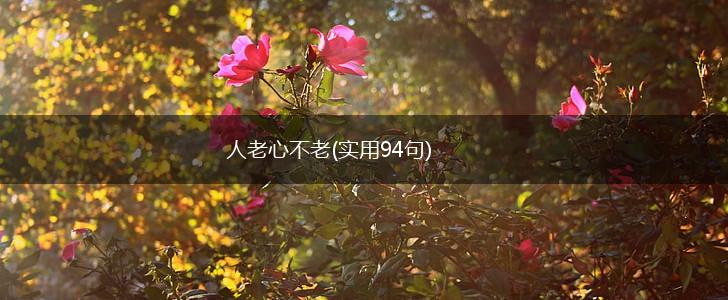 人老心不老(实用94句),第1张