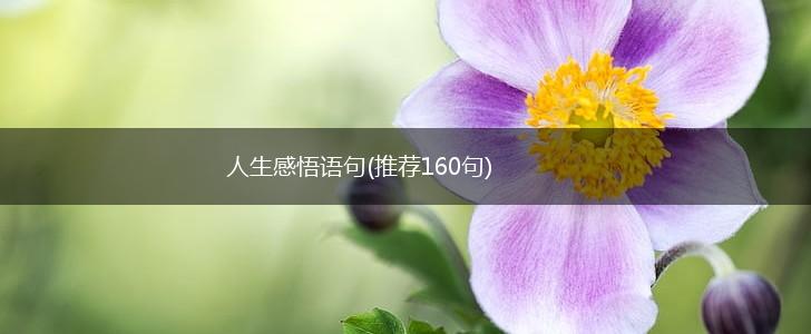 人生感悟语句(推荐160句),第1张