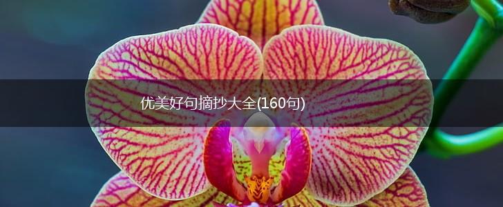 优美好句摘抄大全(160句),第1张