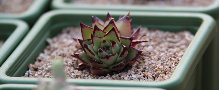 努力奋斗的说说(优选150句),第2张
