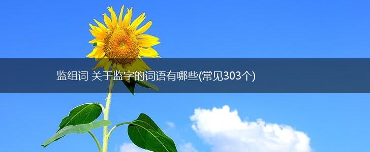 监组词 关于监字的词语有哪些(常见303个),第1张