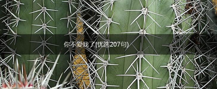 你不爱我了(优选207句),第1张