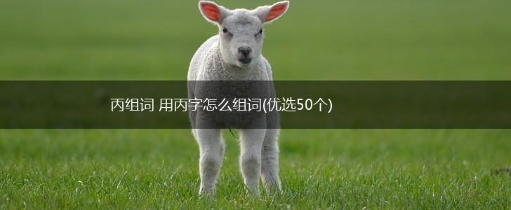 丙组词 用丙字怎么组词(优选50个),第1张