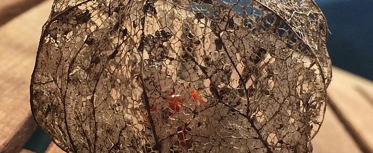 人生最现实的句子(精选170句),第3张