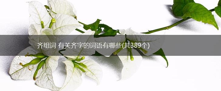 齐组词 有关齐字的词语有哪些(共389个),第1张