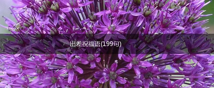 出差祝福语(199句),第1张