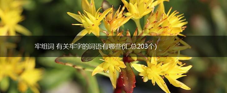 牢组词 有关牢字的词语有哪些(汇总203个),第1张