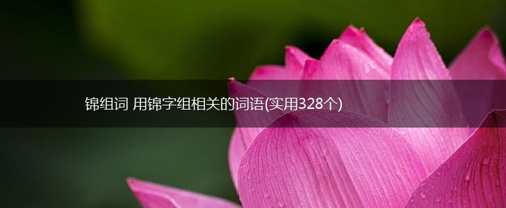 锦组词 用锦字组相关的词语(实用328个),第1张