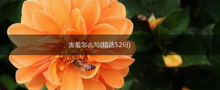 害羞怎么写(精选52句),第1张