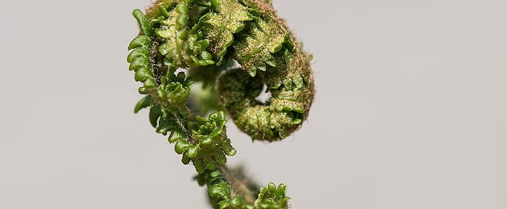 形容烟花的(共190句),第2张