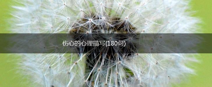 伤心的心理描写(180句),第1张