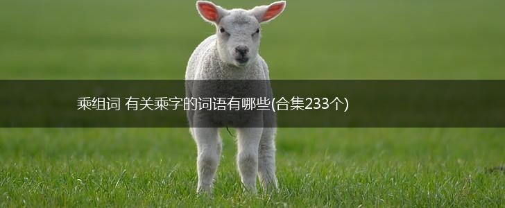 乘组词 有关乘字的词语有哪些(合集233个),第1张