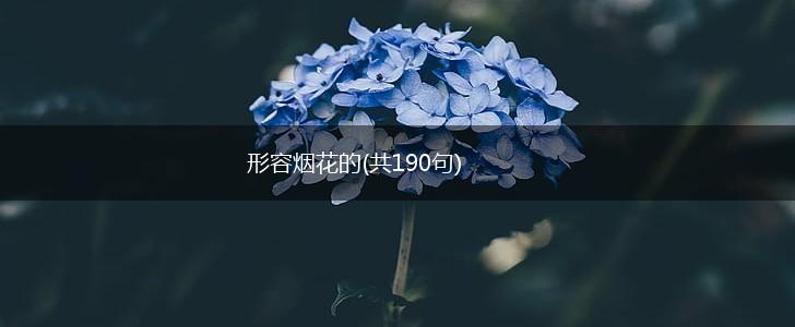 形容烟花的(共190句),第1张