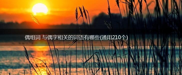 偶组词 与偶字相关的词语有哪些(通用210个),第1张