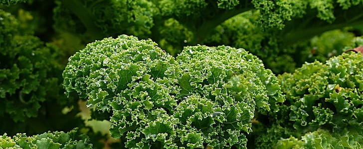 关于友谊的好句(精选187句),第3张