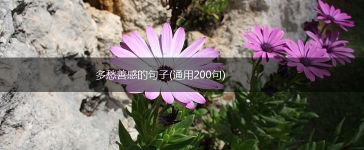 多愁善感的句子(通用200句),第1张