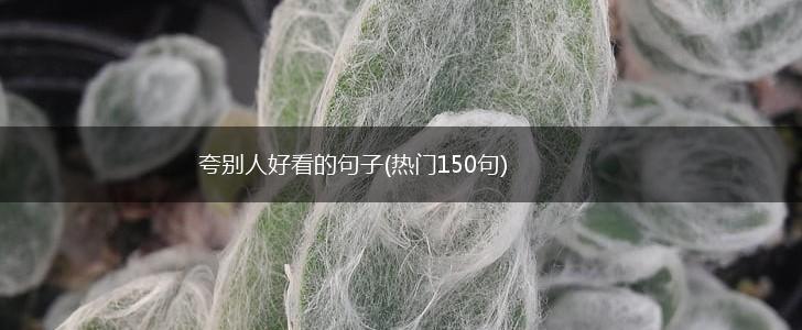 夸别人好看的句子(热门150句),第1张