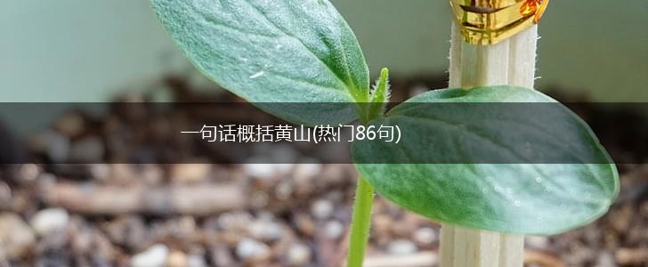 一句话概括黄山(热门86句),第1张