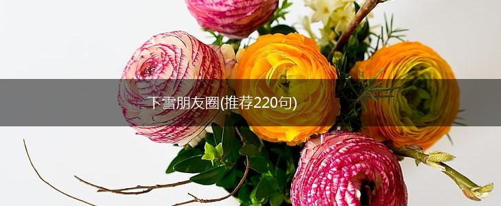 下雪朋友圈(推荐220句),第1张