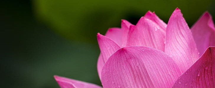 优美语段摘抄(精选240句),第2张