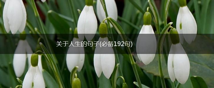 关于人生的句子(必备192句),第1张