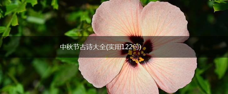中秋节古诗大全(实用122句),第1张