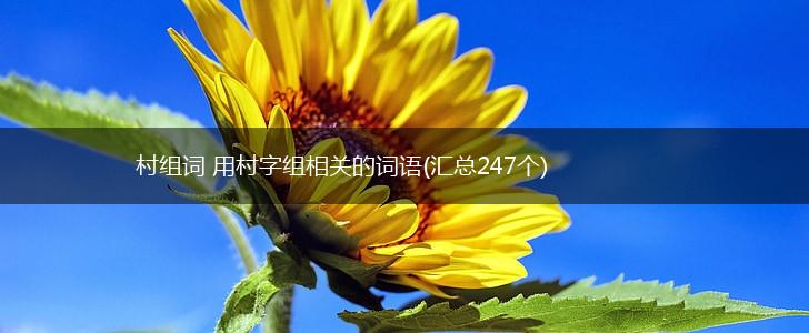 村组词 用村字组相关的词语(汇总247个),第1张