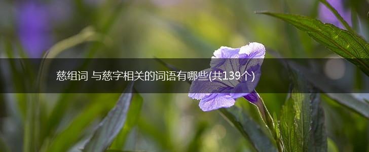 慈组词 与慈字相关的词语有哪些(共139个),第1张