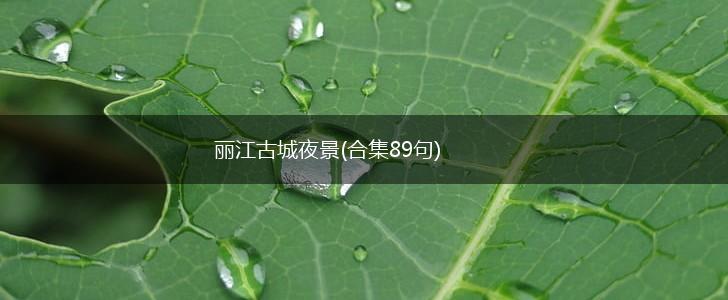 丽江古城夜景(合集89句),第1张