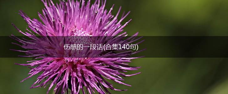 伤感的一段话(合集140句),第1张
