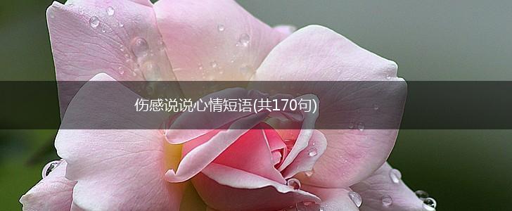 伤感说说心情短语(共170句),第1张