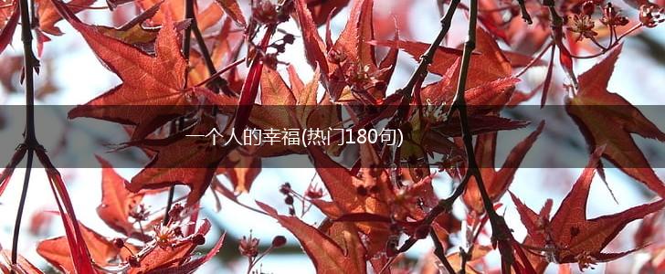 一个人的幸福(热门180句),第1张