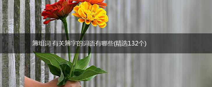簿组词 有关簿字的词语有哪些(精选132个),第1张