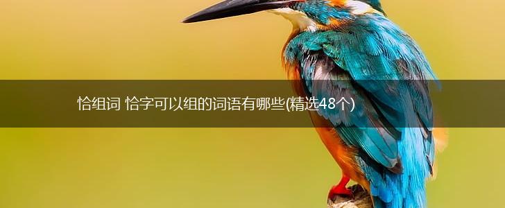 恰组词 恰字可以组的词语有哪些(精选48个),第1张