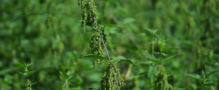 夸闺蜜的句子(推荐180句),第3张