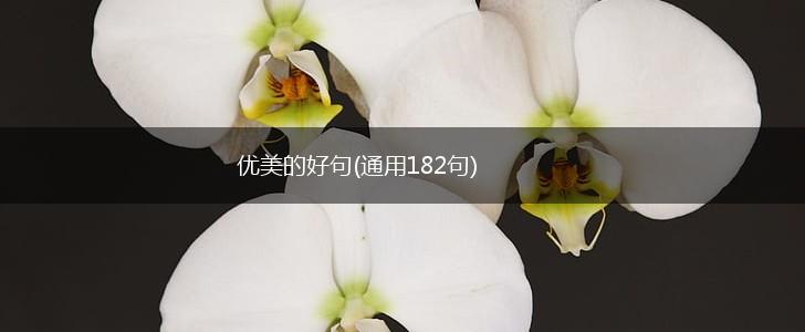 优美的好句(通用182句),第1张