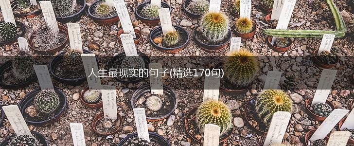 人生最现实的句子(精选170句),第1张
